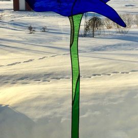 Blyinfattat blommor: Stor blå vallmo